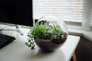 Combination between modern elements and the need for nature
