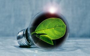 bombilla que utiliza energía ecológica bombilla recostada con una hoja verde en su interior