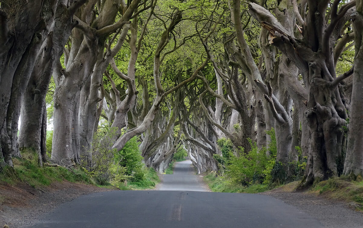 Bregagh Road in Northern Ireland