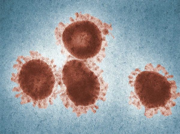 coronavirus