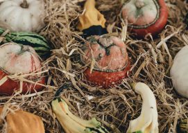 Fall vegetable harvest