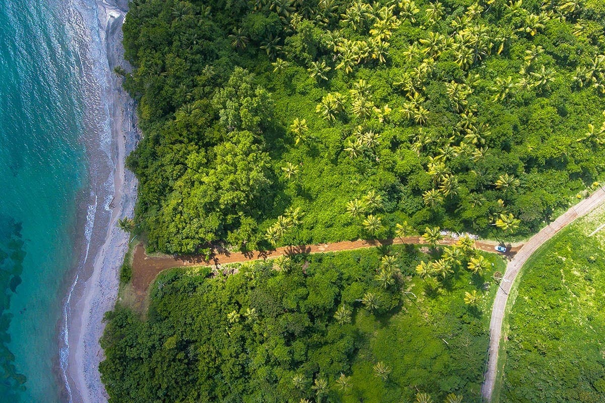 Green and safety planet earth