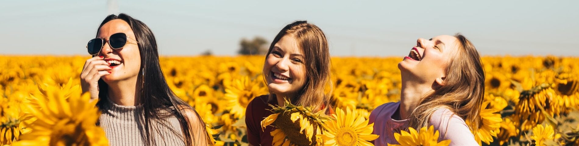 three women in a sunflower field