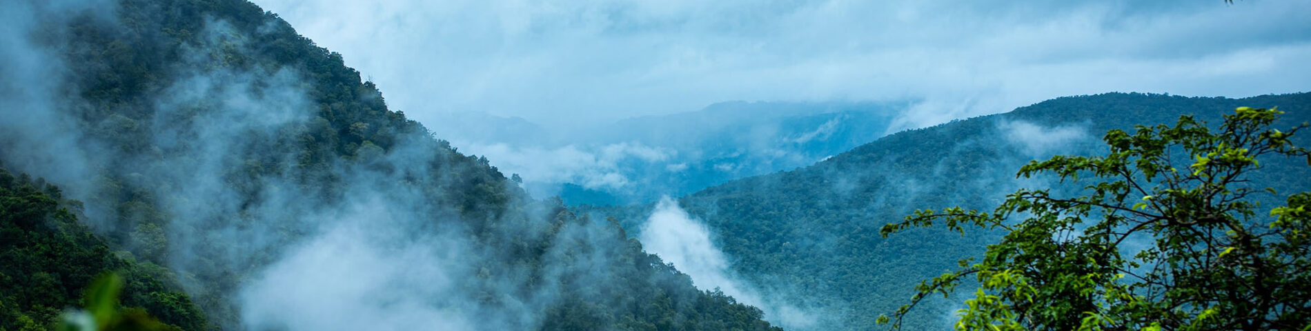 Clouds over the jungle