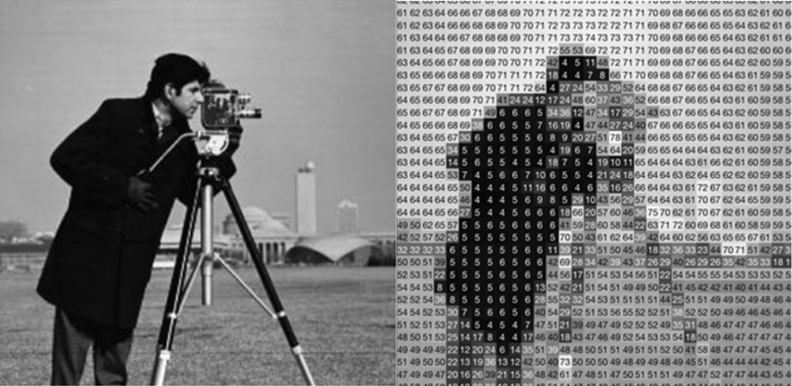 How a black and white image would be digitized
